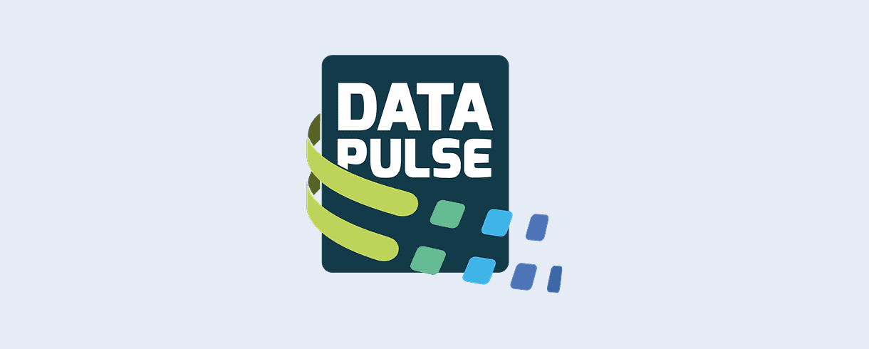 Logo of DataPulse with dynamic pixel and wave design.